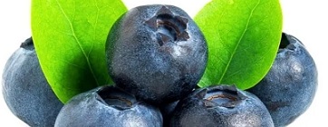 Screenshot_10-12-2025_101544_files.namnak.com